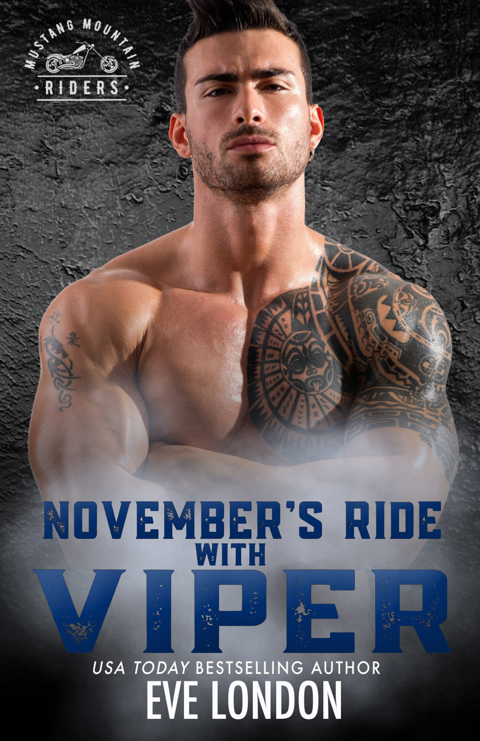 Nov_Viper 2